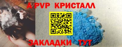 герыч Кингисепп